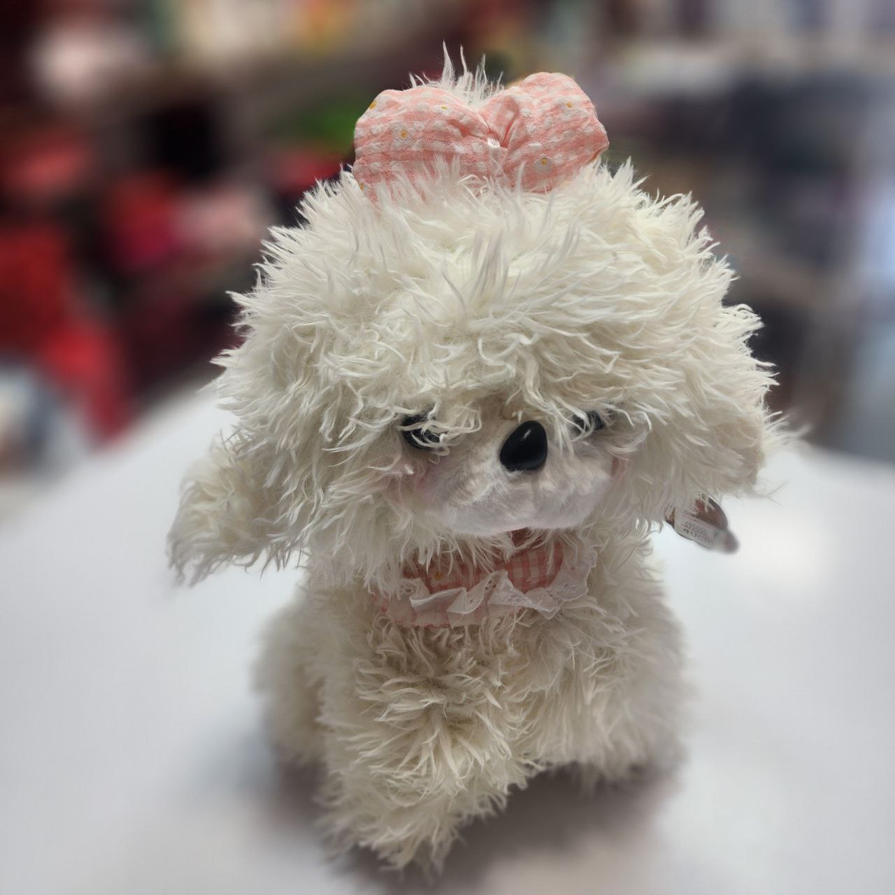 photo_5776090625362478938_y