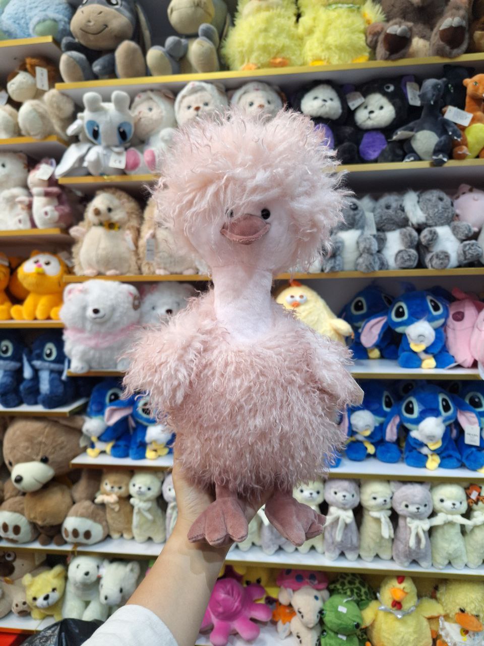 photo_2025-07-17_01-04-06