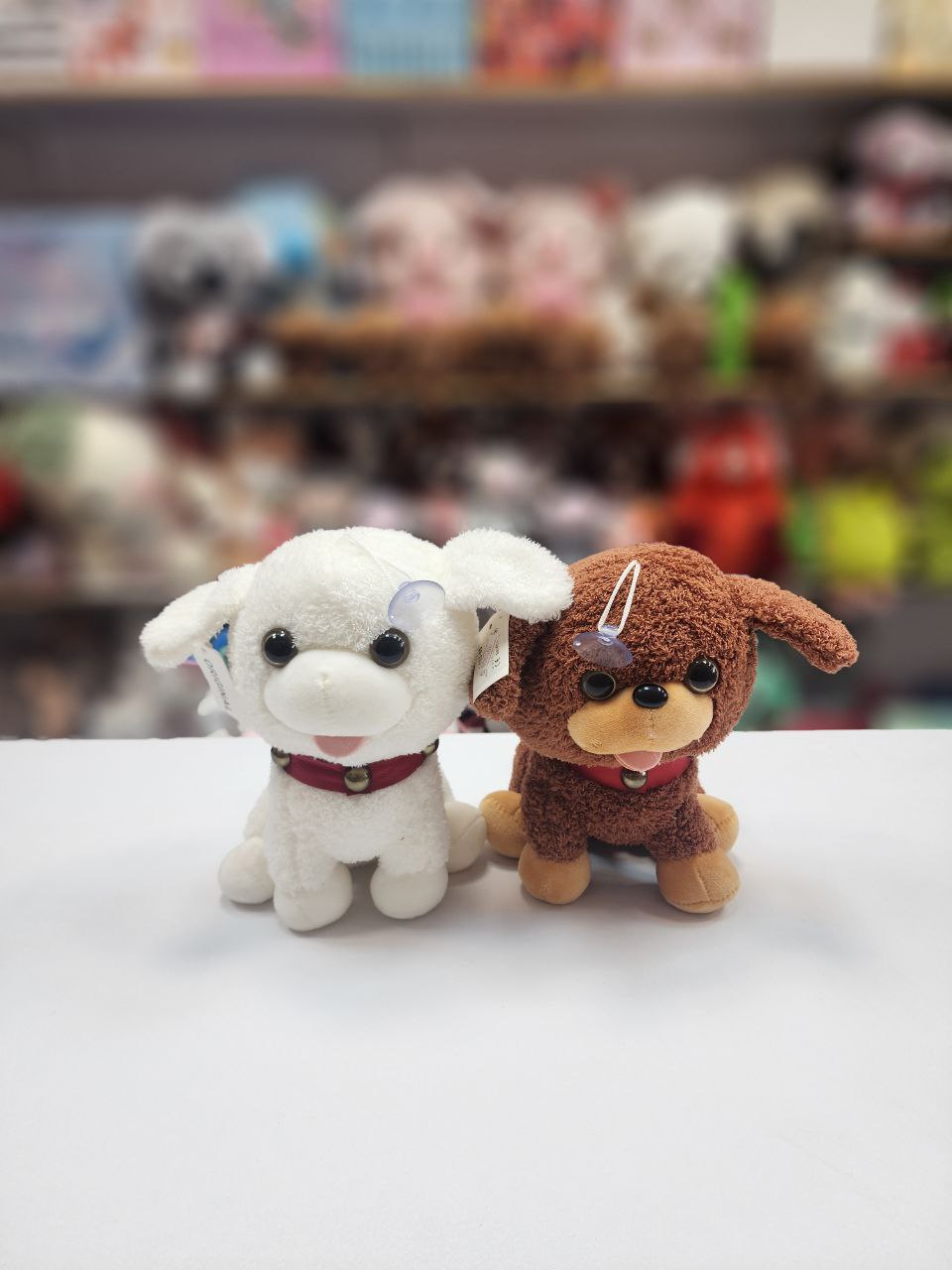 photo_2025-07-17_01-20-05