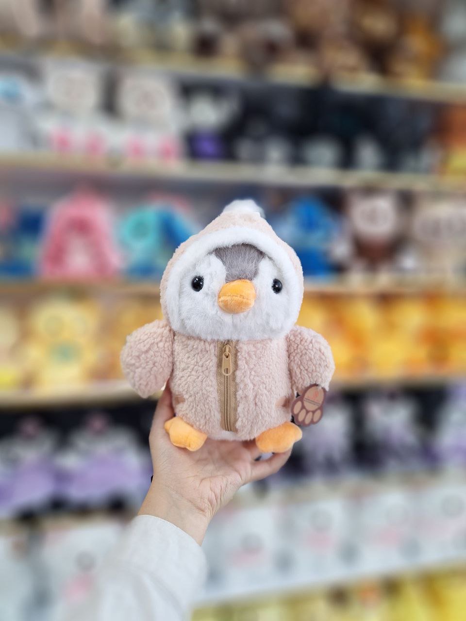 photo_2025-07-17_01-36-49