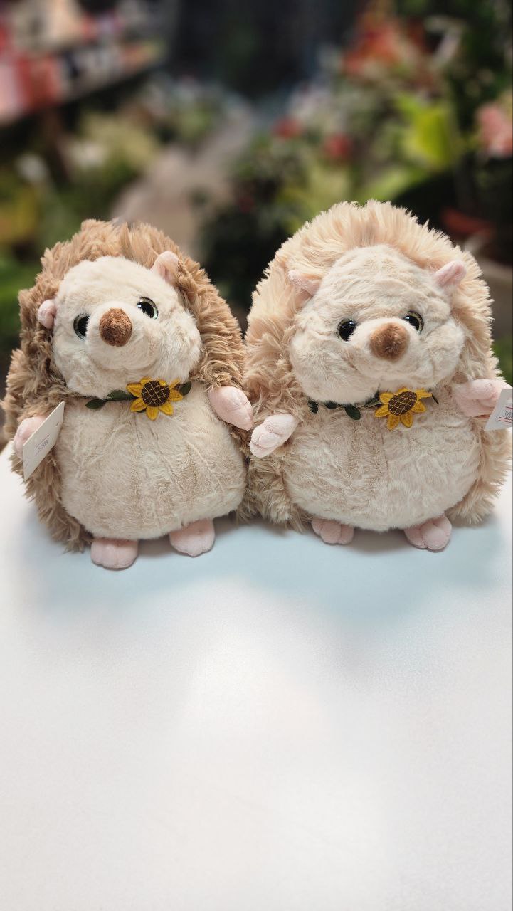 photo_2025-09-03_01-55-51