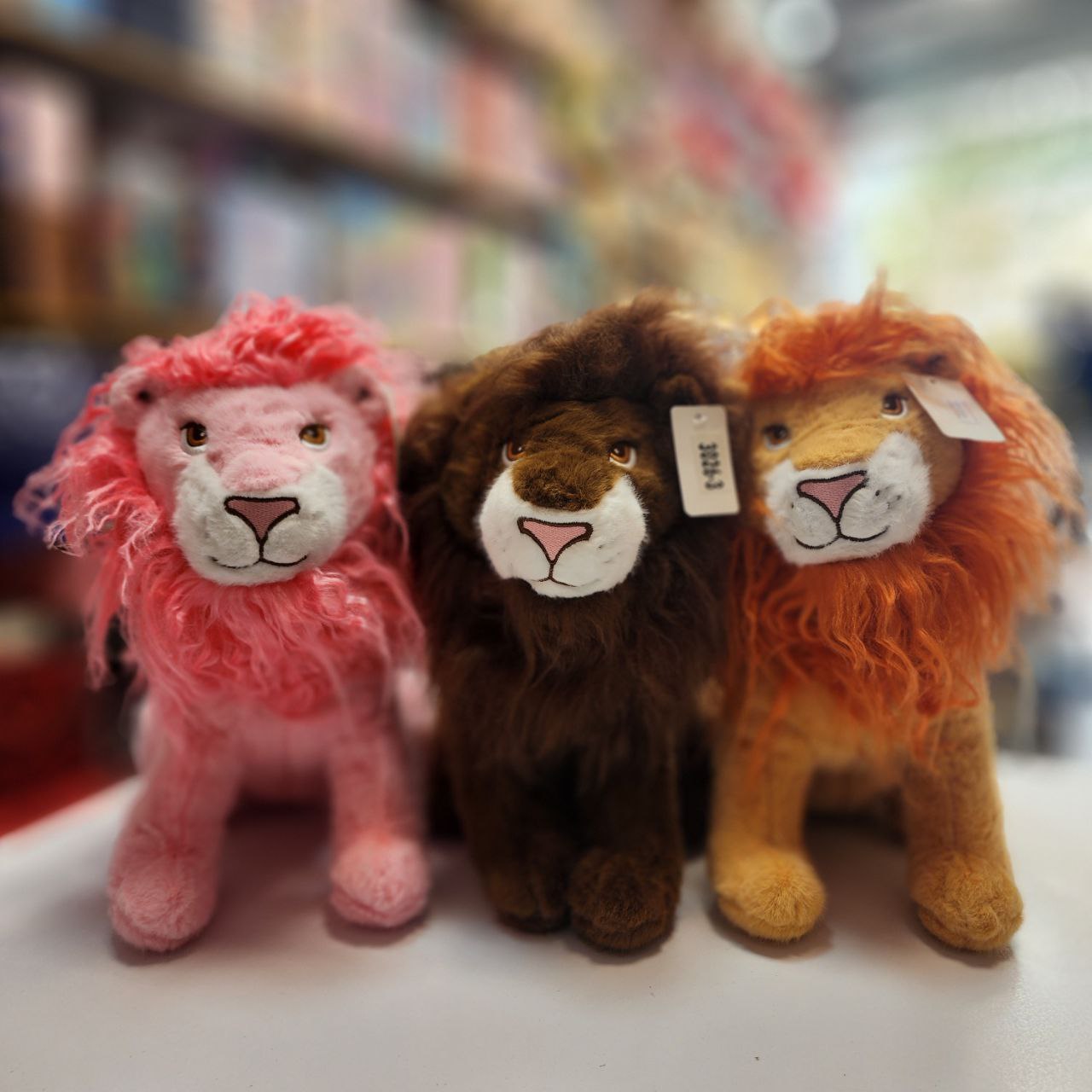 photo_5767053275437321997_y