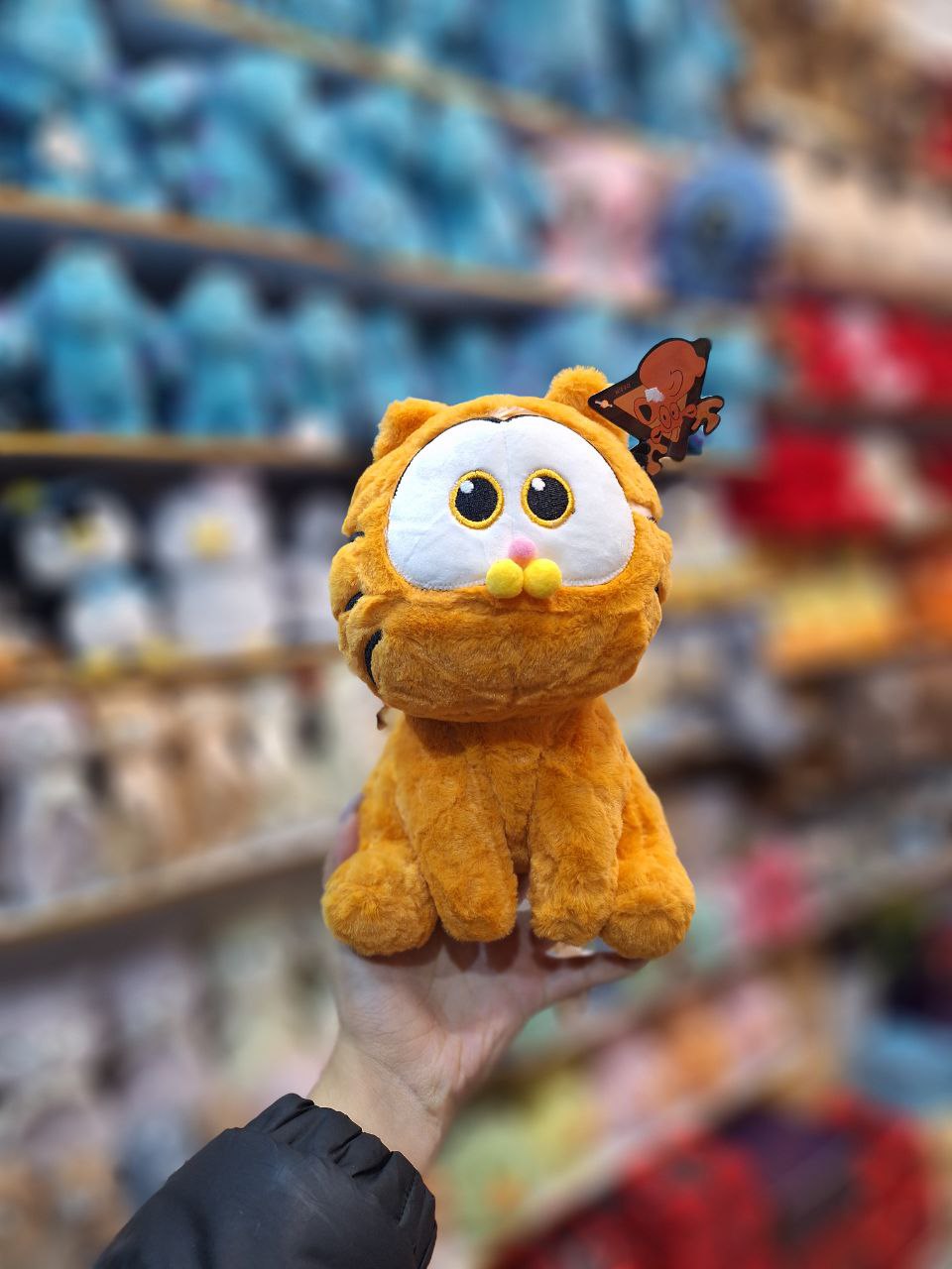 photo_2025-07-17_01-07-30