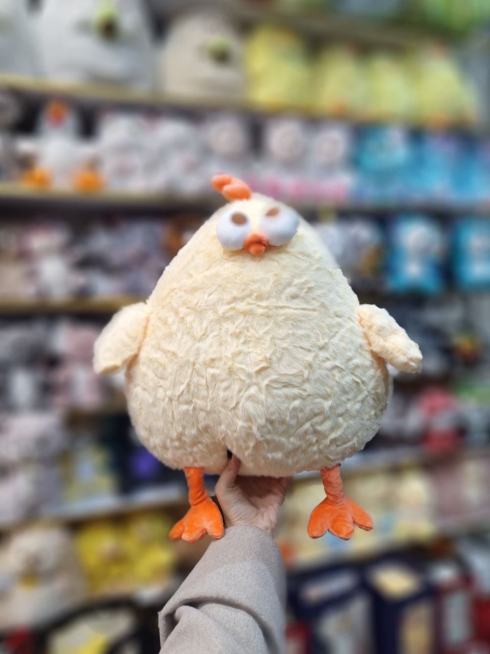 photo_2025-07-17_01-09-22