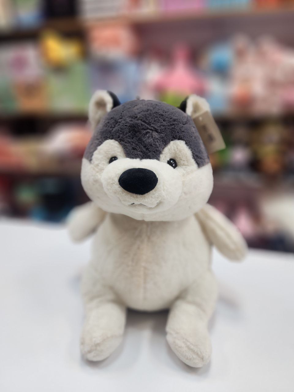 photo_2025-07-17_01-47-32