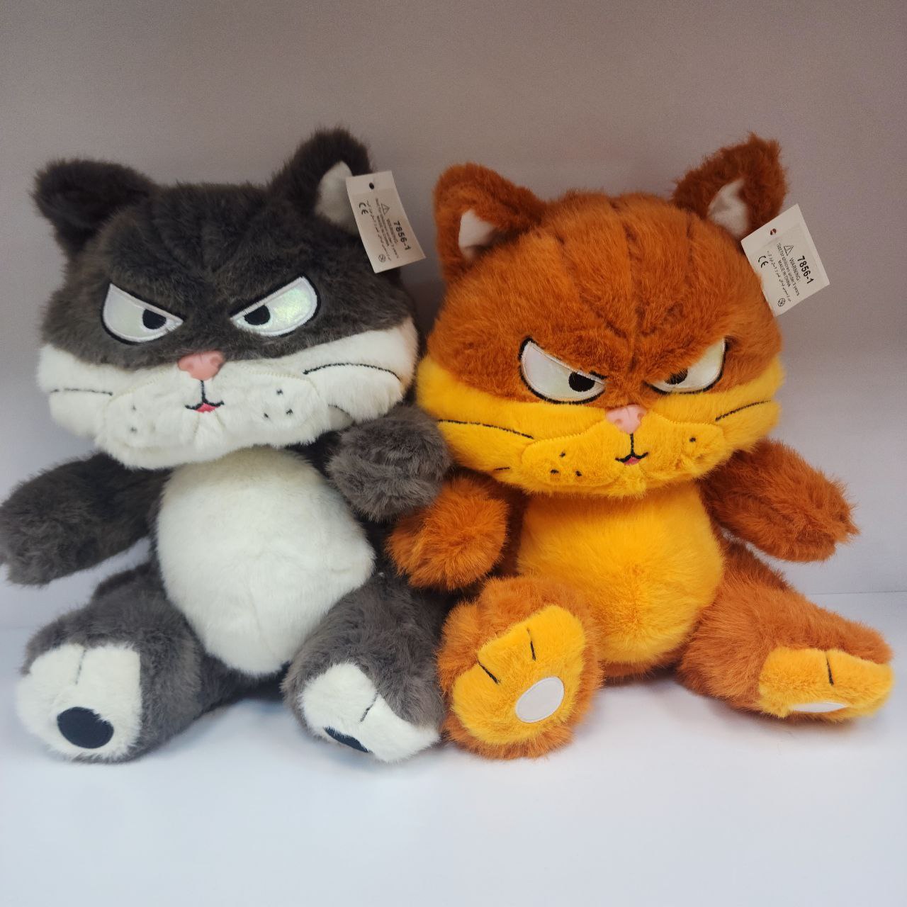 photo_2025-09-03_02-19-13