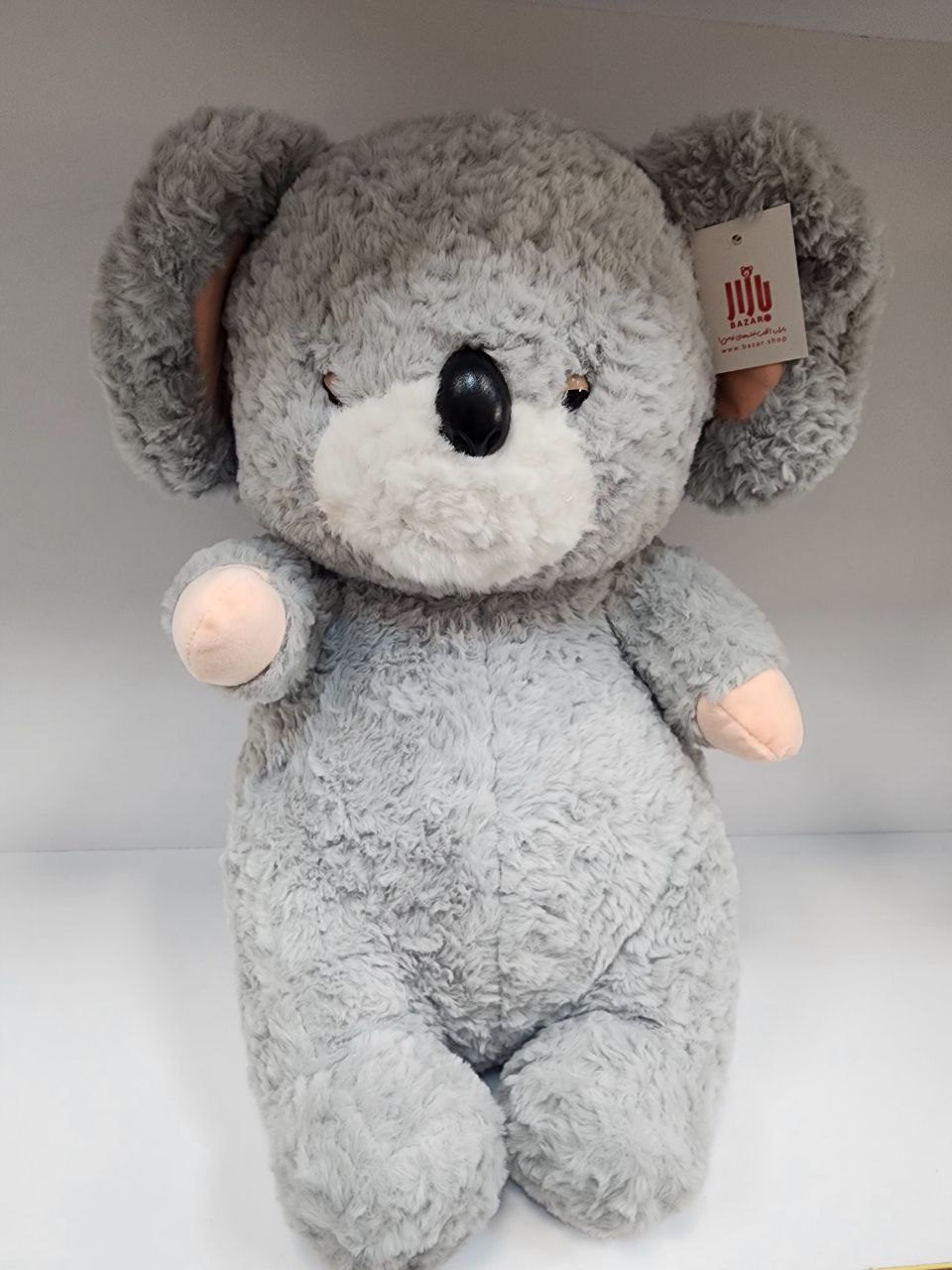 photo_2025-09-12_02-39-00