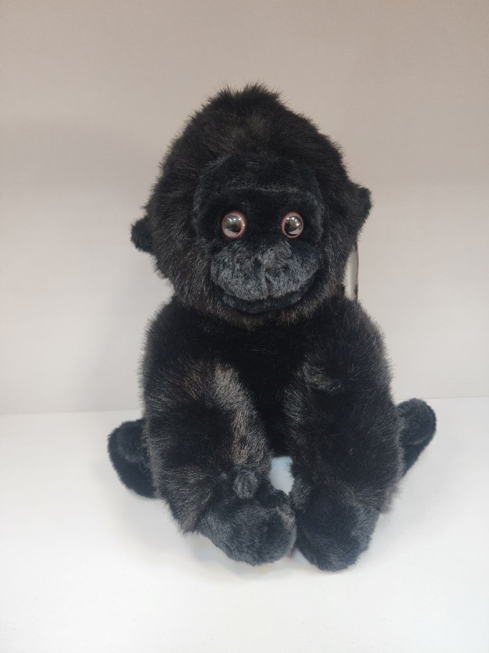 photo_2025-12-10_13-04-21