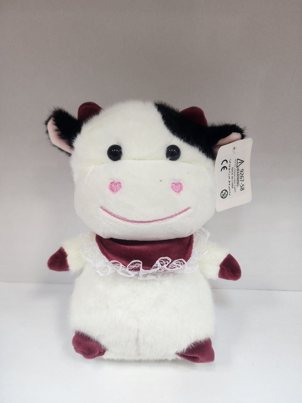 photo_2025-12-10_13-14-06